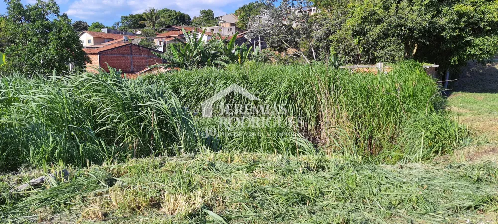 Comprar Terreno / &Aacute;rea em Taubat&eacute; R$ 650.000,00 - Foto 3