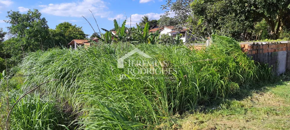 Comprar Terreno / &Aacute;rea em Taubat&eacute; R$ 650.000,00 - Foto 5