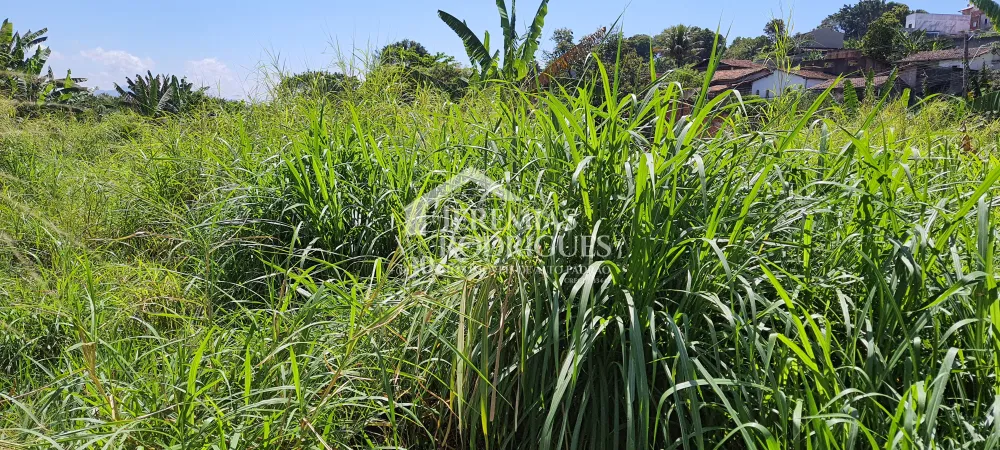 Comprar Terreno / &Aacute;rea em Taubat&eacute; R$ 650.000,00 - Foto 6