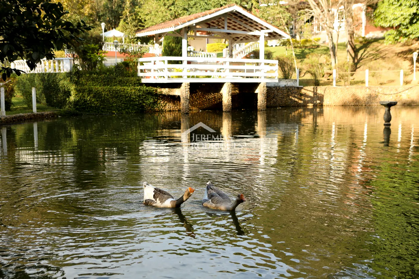 Comprar Rural / Chácara em Sapucaí-Mirim R$ 2.900.000,00 - Foto 36