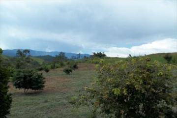 imagem 2 - Terreno - Padrão imagem 2 - Terreno - Padrão