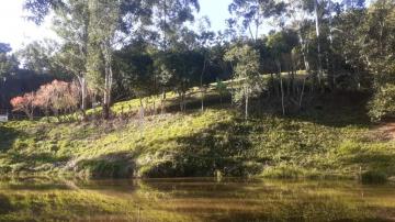 imagem 2 - Rural - Sítio imagem 2 - Rural - Sítio