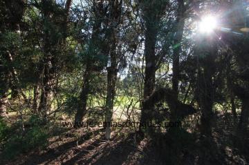 Taubate Chacaras Catagua Terreno Venda R$2.200.000,00 