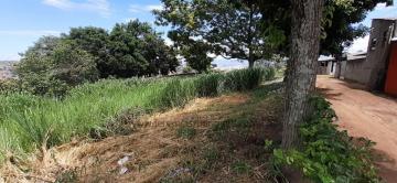 imagem 2 - Terreno - Padrão imagem 2 - Terreno - Padrão