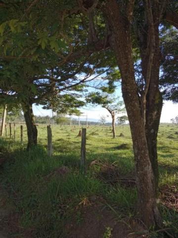 imagem 2 - Terreno - Padrão imagem 2 - Terreno - Padrão