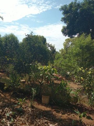 imagem 1 - Terreno - Padrão imagem 1 - Terreno - Padrão