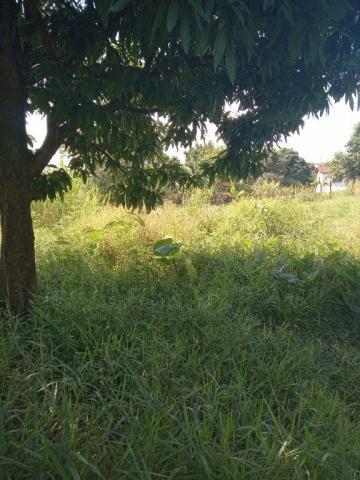 imagem 3 - Terreno - Padrão imagem 3 - Terreno - Padrão
