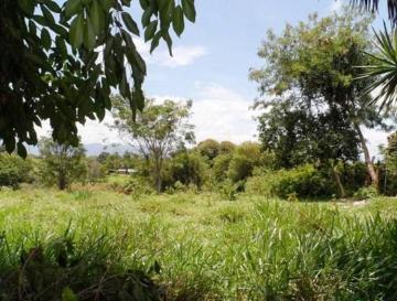 imagem 1 - Terreno - Padrão imagem 1 - Terreno - Padrão