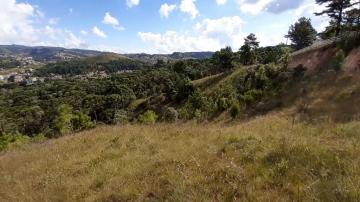imagem 3 - Terreno - Padrão imagem 3 - Terreno - Padrão