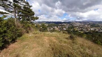 imagem 5 - Terreno - Padrão imagem 5 - Terreno - Padrão