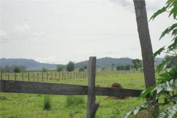 imagem 3 - Área rural à venda com 123.247 m² no bairro Jardim Regina em Pindamonhangaba/SP. imagem 3 - Área rural à venda com 123.247 m² no bairro Jardim Regina em Pindamonhangaba/SP.