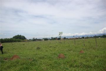 imagem 4 - Área rural à venda com 123.247 m² no bairro Jardim Regina em Pindamonhangaba/SP. imagem 4 - Área rural à venda com 123.247 m² no bairro Jardim Regina em Pindamonhangaba/SP.