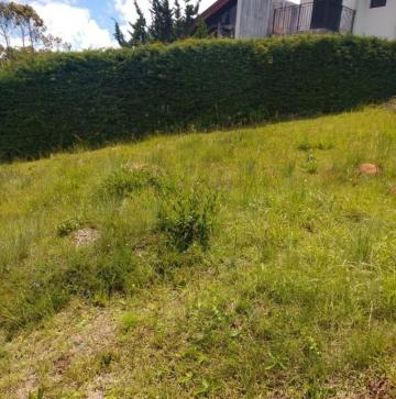 imagem 4 - Terreno - Padrão imagem 4 - Terreno - Padrão