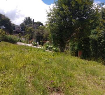 imagem 5 - Terreno - Padrão imagem 5 - Terreno - Padrão