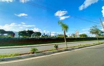 imagem 5 - Terreno - Área imagem 5 - Terreno - Área