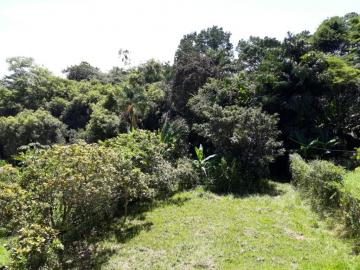 imagem 2 - Sitio com 3 dormitórios, 250 m² - Bom sucesso - Pindamonhangaba/SP imagem 2 - Sitio com 3 dormitórios, 250 m² - Bom sucesso - Pindamonhangaba/SP
