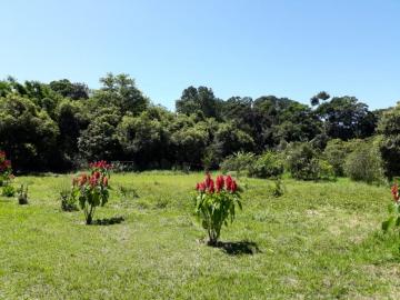 imagem 3 - Sitio com 3 dormitórios, 250 m² - Bom sucesso - Pindamonhangaba/SP imagem 3 - Sitio com 3 dormitórios, 250 m² - Bom sucesso - Pindamonhangaba/SP
