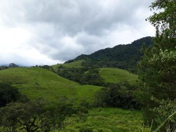 imagem 2 - Terreno - Padrão imagem 2 - Terreno - Padrão