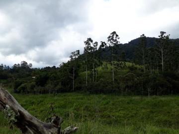 imagem 3 - Terreno - Padrão imagem 3 - Terreno - Padrão