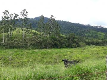 imagem 4 - Terreno - Padrão imagem 4 - Terreno - Padrão