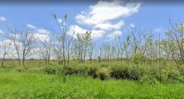 imagem 2 - Terreno - Área imagem 2 - Terreno - Área