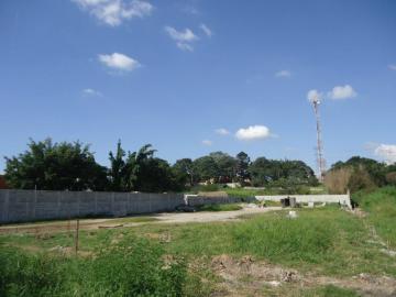 Pindamonhangaba Residencial Ouro Verde Terreno Locacao R$ 12.000,00 