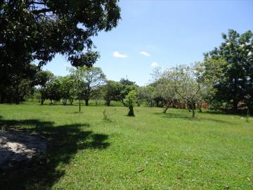 imagem 5 - Rural - Chácara imagem 5 - Rural - Chácara