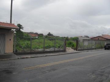 imagem 5 - Terreno - Padrão imagem 5 - Terreno - Padrão