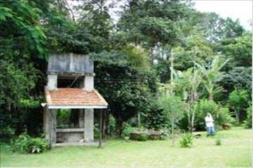 imagem 3 - Rural - Sítio imagem 3 - Rural - Sítio