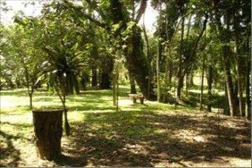imagem 5 - Rural - Sítio imagem 5 - Rural - Sítio