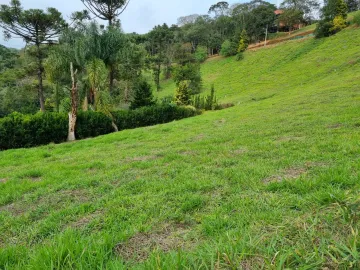imagem 3 - Terreno com 972 m² - Condomínio Parque Mantiqueira - Santo Antônio do Pinhal/SP. imagem 3 - Terreno com 972 m² - Condomínio Parque Mantiqueira - Santo Antônio do Pinhal/SP.