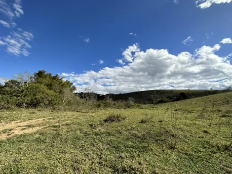 imagem 4 - Fazenda para criação de gado de corte e plantação de milho, com mais de 612 hectares, em Cruzeiro-SP. imagem 4 - Fazenda para criação de gado de corte e plantação de milho, com mais de 612 hectares, em Cruzeiro-SP.