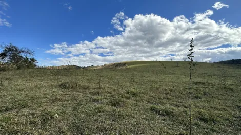 imagem 5 - Fazenda para criação de gado de corte e plantação de milho, com mais de 612 hectares, em Cruzeiro-SP. imagem 5 - Fazenda para criação de gado de corte e plantação de milho, com mais de 612 hectares, em Cruzeiro-SP.