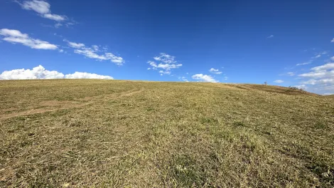 imagem 3 - Fazenda para criação de gado de corte e plantação de milho, com mais de 612 hectares, em Cruzeiro-SP. imagem 3 - Fazenda para criação de gado de corte e plantação de milho, com mais de 612 hectares, em Cruzeiro-SP.