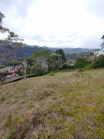 Alugar Terreno / Condomínio em Campos do Jordão. apenas R$ 1.200.000,00