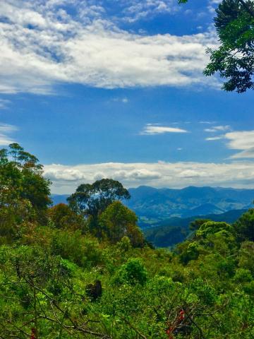 Alugar Terreno / Área em Campos do Jordão. apenas R$ 1.250.000,00