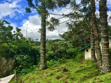 Terreno a partir de 5.000 m² em área urbana - Campos do Jordão/SP