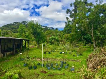 Terreno a partir de 5.000 m² em área urbana - Campos do Jordão/SP