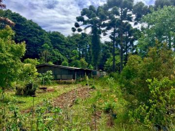 Terreno a partir de 5.000 m² em área urbana - Campos do Jordão/SP