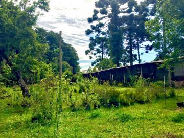 Terreno a partir de 5.000 m² em área urbana - Campos do Jordão/SP