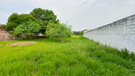 imagem 1 - Terreno à venda com 4.800 m² - Crispim - Pindamonhangaba/SP imagem 1 - Terreno à venda com 4.800 m² - Crispim - Pindamonhangaba/SP
