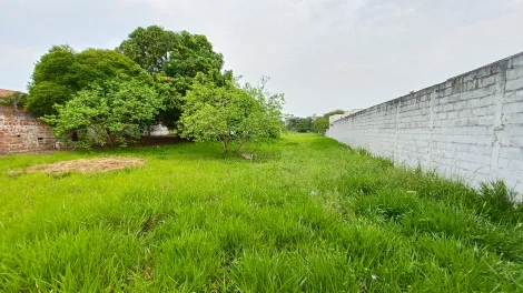 imagem 2 - Terreno à venda com 4.800 m² - Crispim - Pindamonhangaba/SP imagem 2 - Terreno à venda com 4.800 m² - Crispim - Pindamonhangaba/SP