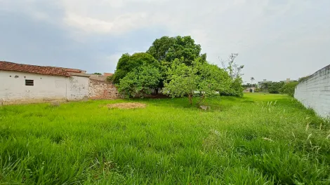 imagem 3 - Terreno à venda com 4.800 m² - Crispim - Pindamonhangaba/SP imagem 3 - Terreno à venda com 4.800 m² - Crispim - Pindamonhangaba/SP