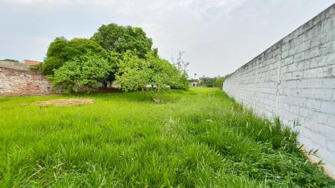 imagem 4 - Terreno à venda com 4.800 m² - Crispim - Pindamonhangaba/SP imagem 4 - Terreno à venda com 4.800 m² - Crispim - Pindamonhangaba/SP