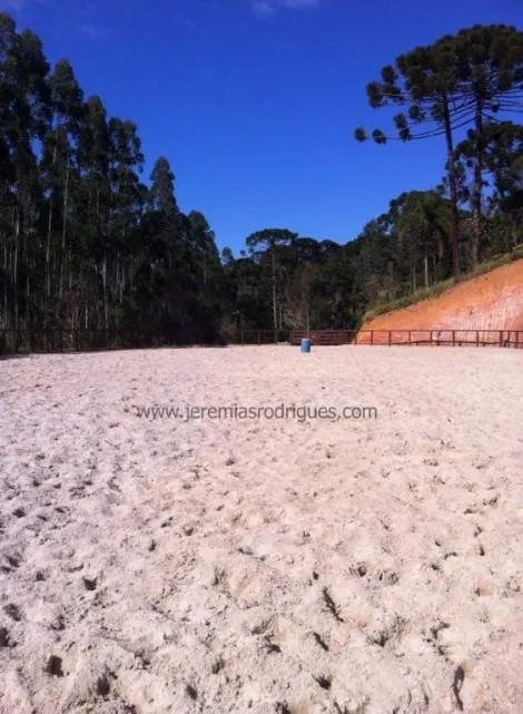 imagem 3 - Haras com 86,4 hectares - Sapucaí-Mirim/MG imagem 3 - Haras com 86,4 hectares - Sapucaí-Mirim/MG