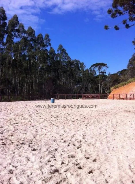 imagem 4 - Haras com 86,4 hectares - Sapucaí-Mirim/MG imagem 4 - Haras com 86,4 hectares - Sapucaí-Mirim/MG