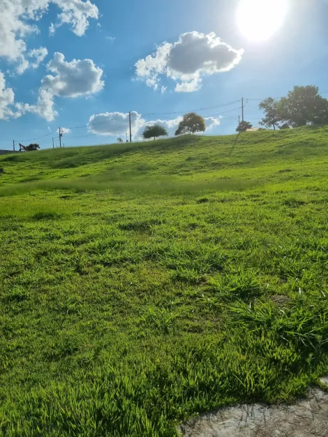 imagem 3 - Terreno com 803 m² - Condomínio Altos da Quinta  - São José dos Campos/SP imagem 3 - Terreno com 803 m² - Condomínio Altos da Quinta  - São José dos Campos/SP