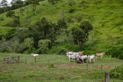 imagem 5 - Fazenda com 2.808.000 m² - Caçapava/SP imagem 5 - Fazenda com 2.808.000 m² - Caçapava/SP