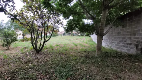 imagem 2 - Terreno com 1.200 m² - Condomínio Village Paineiras - Pindamonhangaba/SP. imagem 2 - Terreno com 1.200 m² - Condomínio Village Paineiras - Pindamonhangaba/SP.