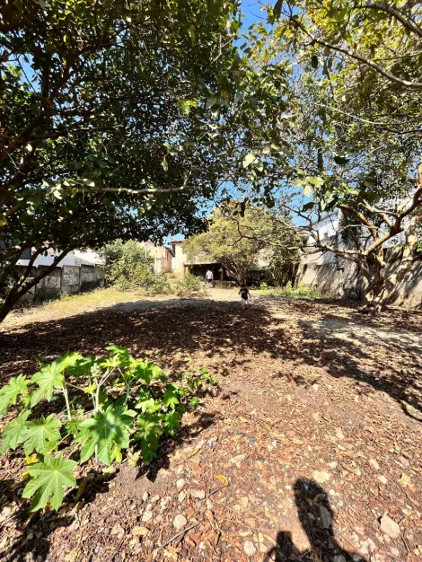 imagem 1 - Terreno com 810 m² - Boa Vista - Pindamonhangaba/SP. imagem 1 - Terreno com 810 m² - Boa Vista - Pindamonhangaba/SP.
